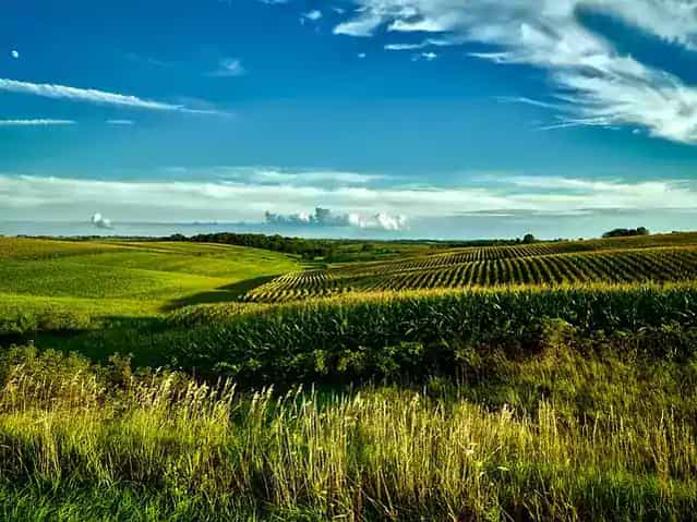 erp iowa