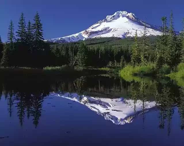 erp oregon