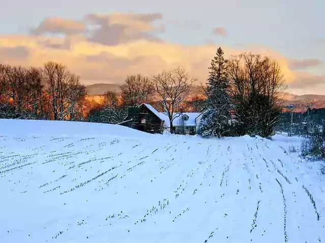 erp vermont