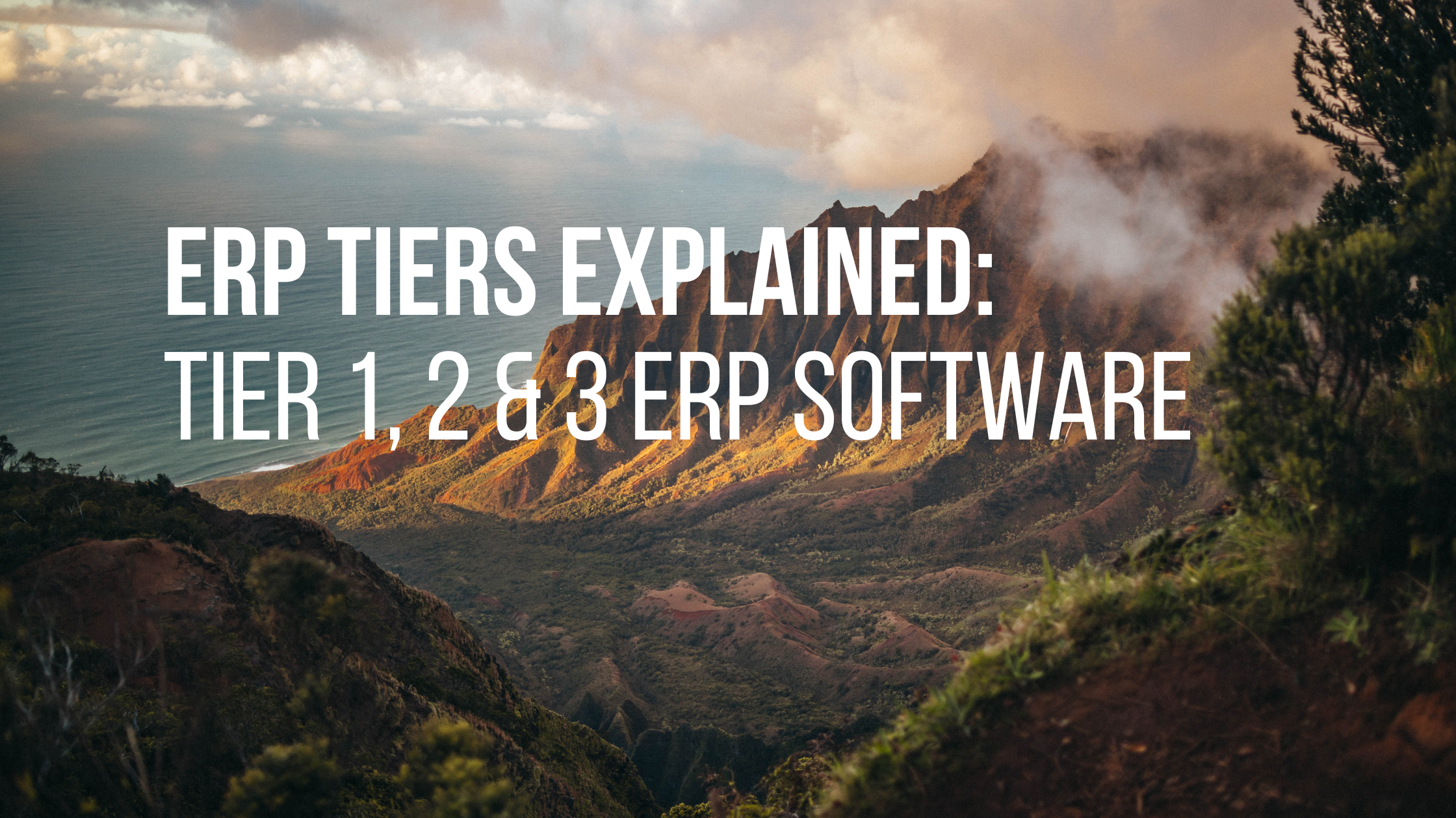 What is a Tier 2 ERP Vendors? Best Two Tier ERP (2023)